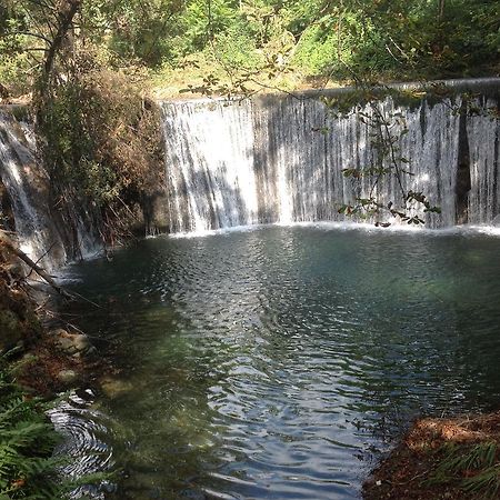 L'Ecrin D'Osely Bed & Breakfast Lodève Dış mekan fotoğraf