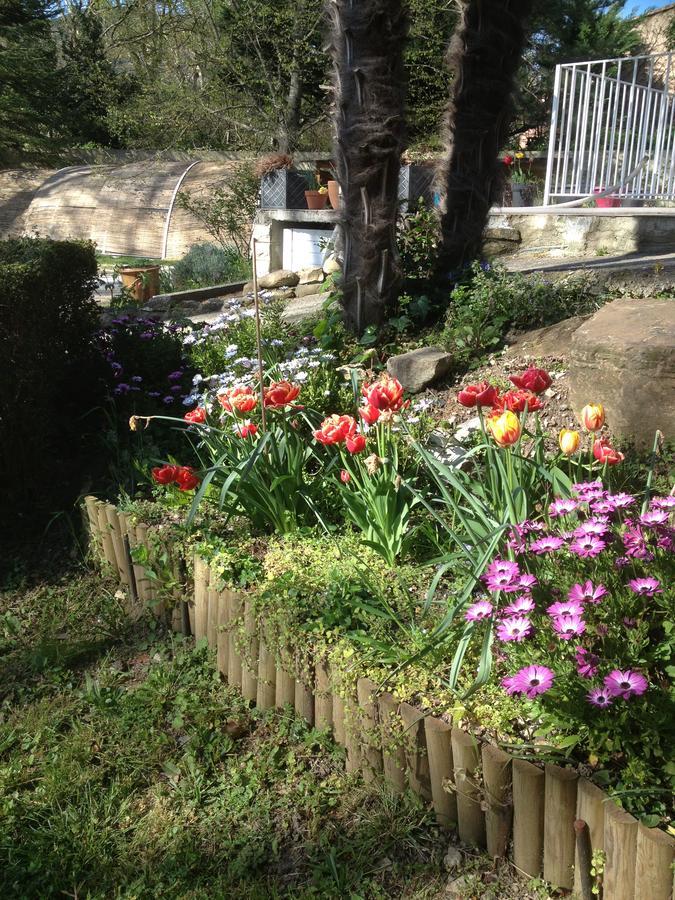 L'Ecrin D'Osely Bed & Breakfast Lodève Dış mekan fotoğraf