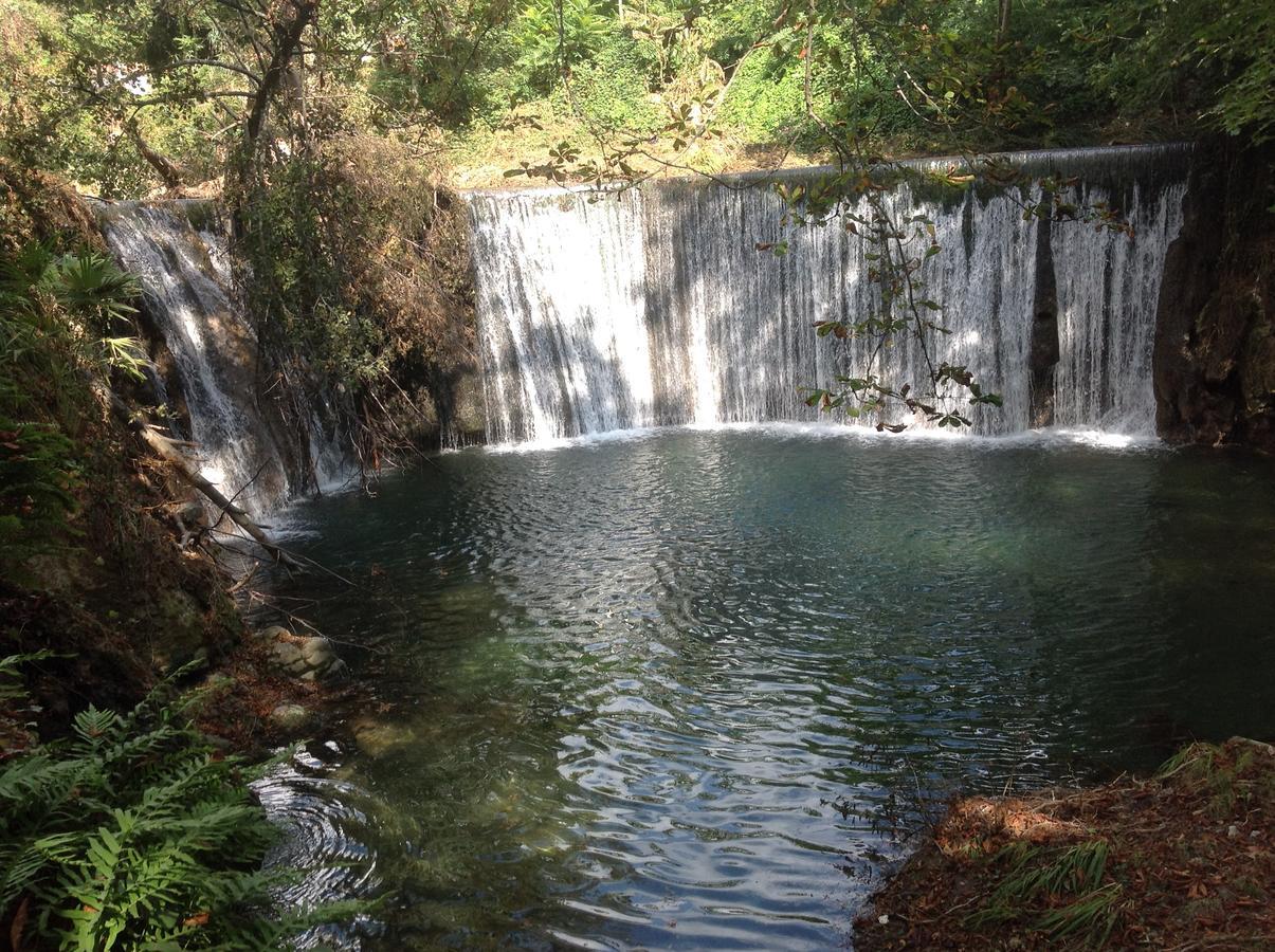 L'Ecrin D'Osely Bed & Breakfast Lodève Dış mekan fotoğraf